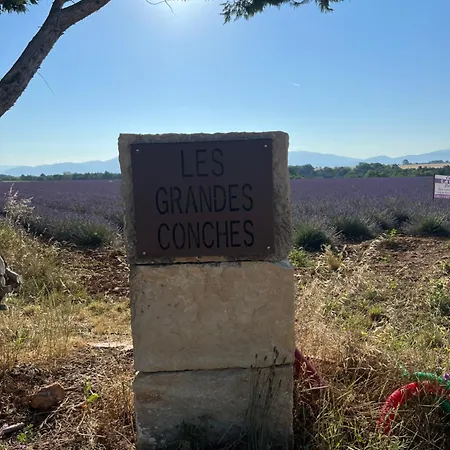 Les Grandes Conches Valensole
