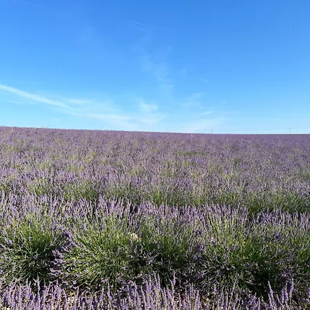 Appartement Les Grandes Conches