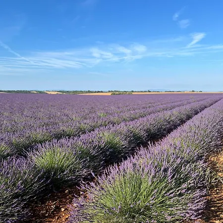 Les Grandes Conches Appartement *